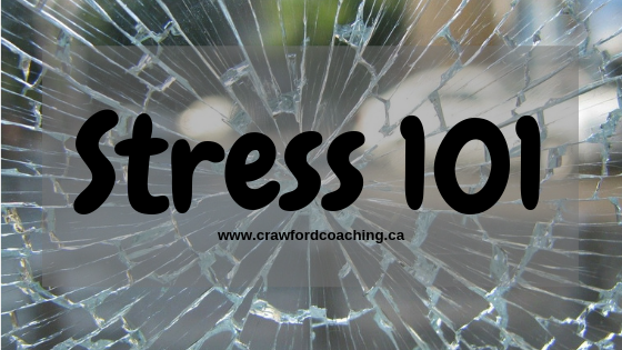 Stress 101